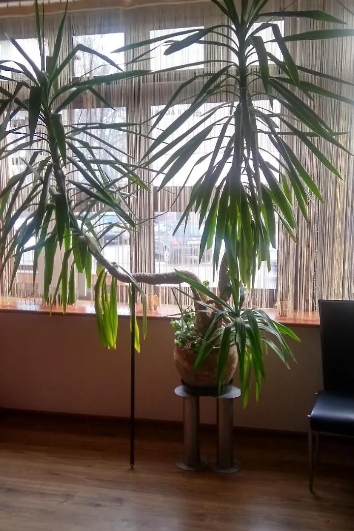 Homestay Willa Amazonka Apartment Gdansk